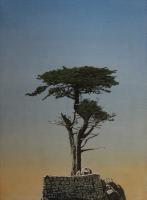 The Lone Cypress by Clay Wagstaff