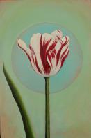 Rembrandt Tulip I by Rebecca Wetzel Wagstaff