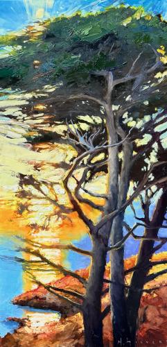 Cypress Sunset by Matt Sievers